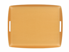 Acrylic Tray Secret Gold