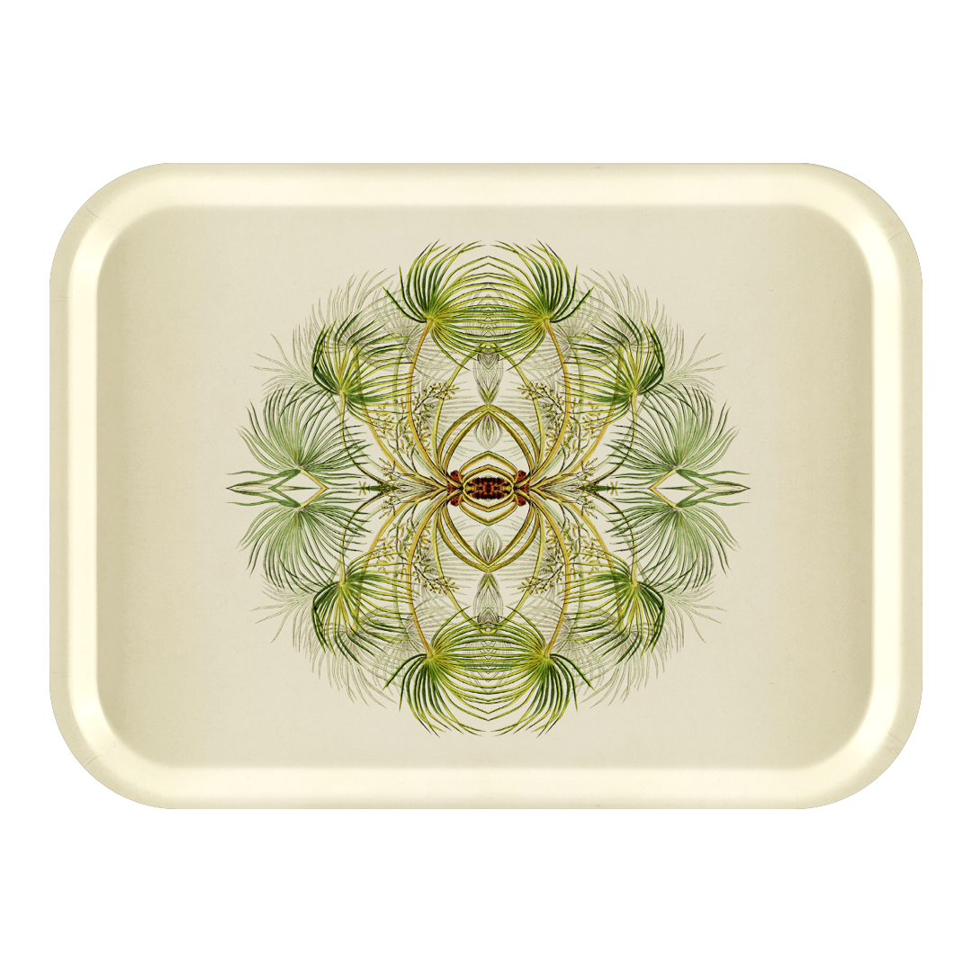 Botanical Reflections Tray 27x20cm