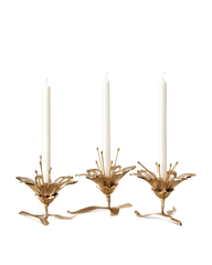 Candle Holder Lilly