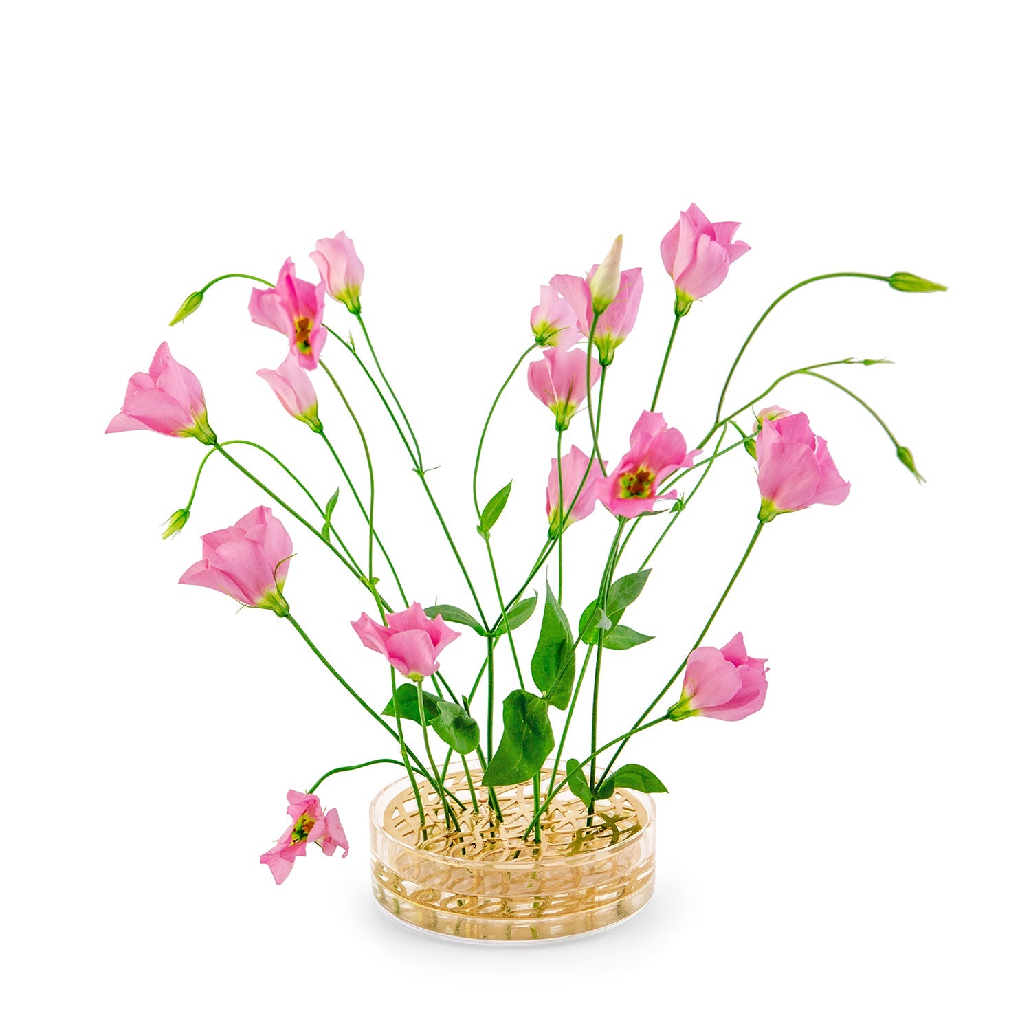 Äng Pond Brass Vase