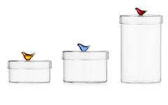 Birds Tall Box Amber