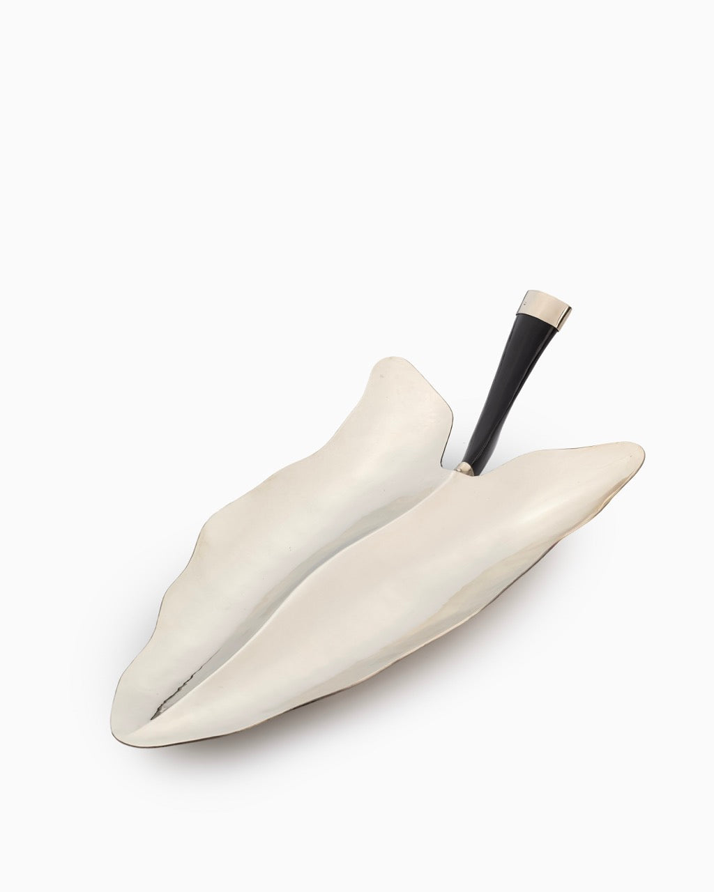 Cala Tray