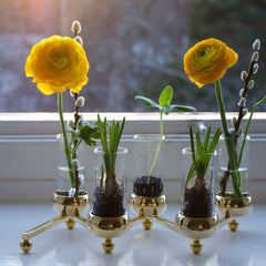 Constella Glass Inserts Box of 5 Pieces
